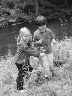 Don't pick the wildflowers