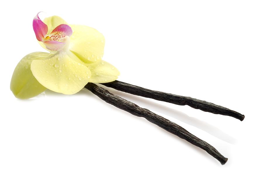 synbio vanilla to replace real vanilla in natural products