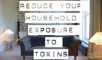 reduce your household exposure to toxins