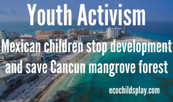 Youth activism saves mangrove forest