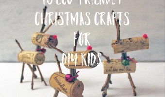 eco-friendly Christmas crafts