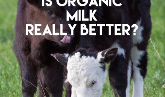 organic milk