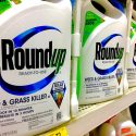 glyphosate