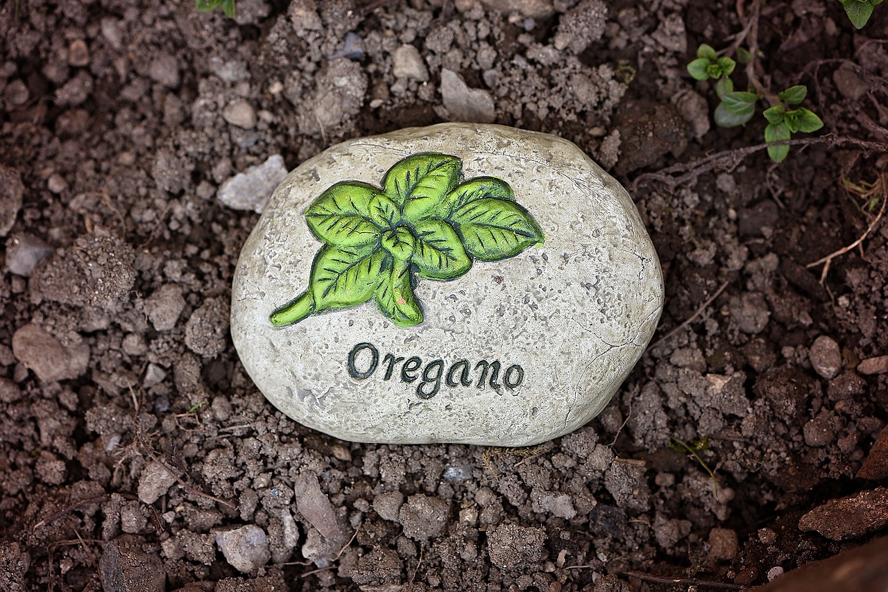 oregano oil