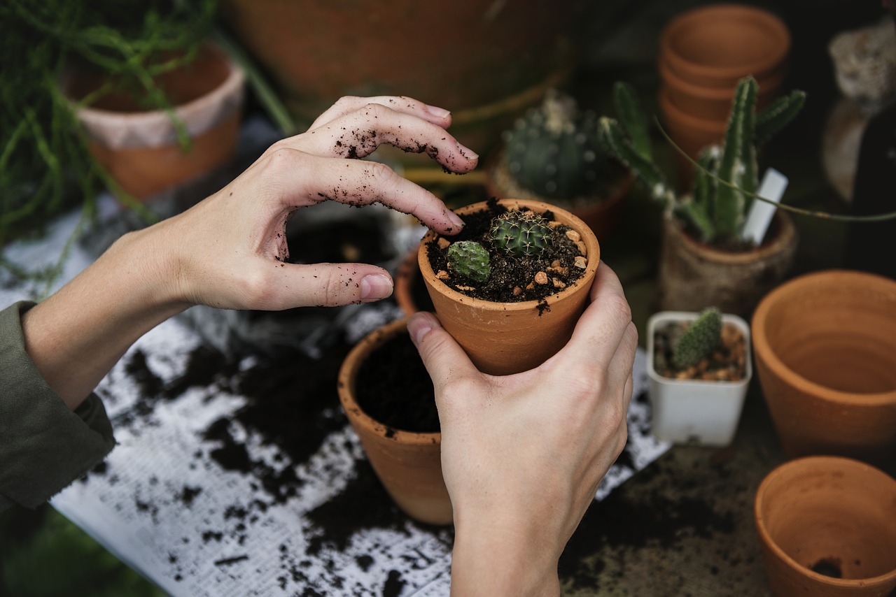 gardening horticulture therapy