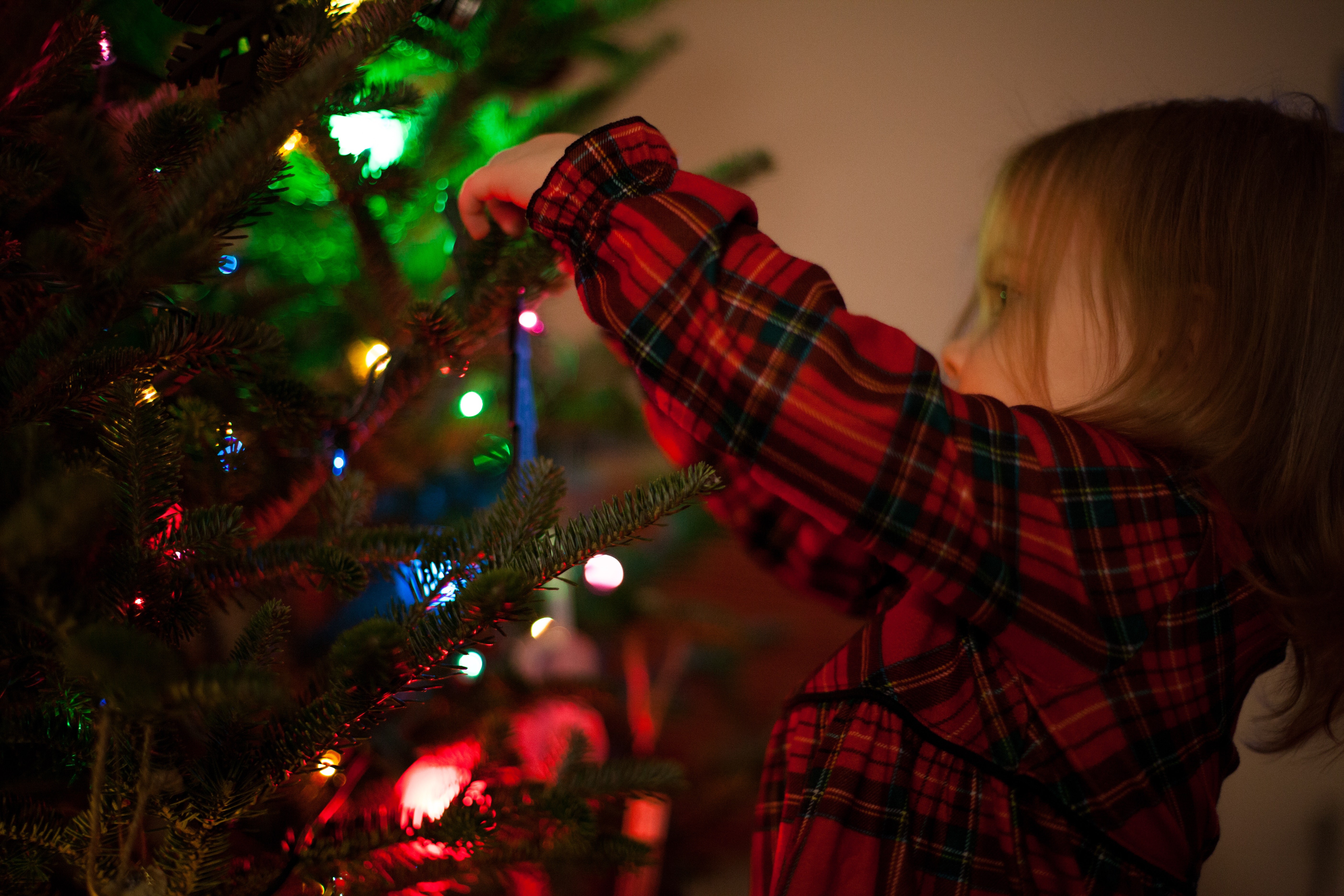 pesticides christmas trees