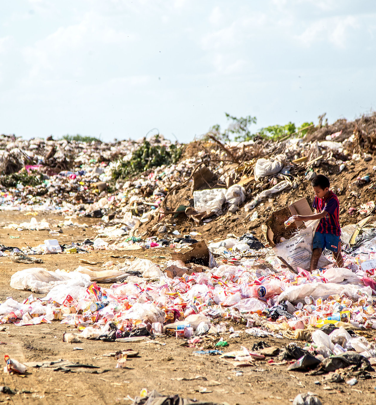 plastic bags